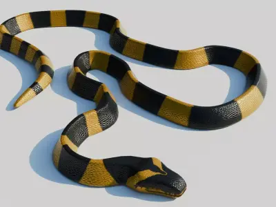 Rigged Banded Krait - Game Ready - PBR Low-poly 3D model