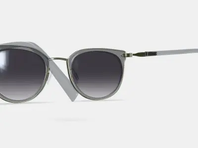 Whittier Sunglasses in Soapstone with Riesling 3D model