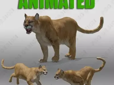 Mountain Lion Animated 3D model