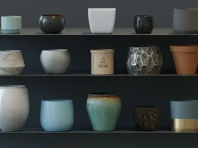 6 Plants Pack  3D model