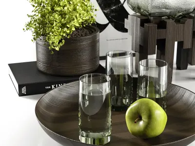 Decorative vases with plants 3D model