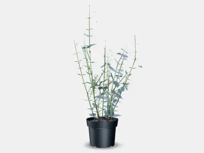 FEJKA Artificial potted plant 5 3D model