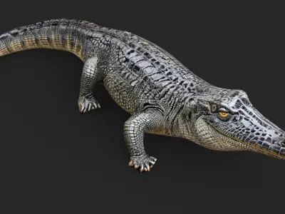 Crocodile Cartoon Low-poly 3D model