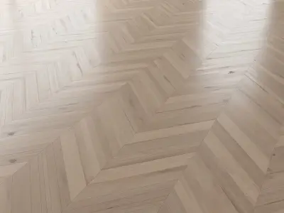 Parquet Oak Vergne Brushed set 1 3D model