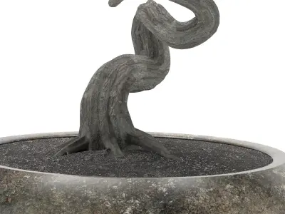 BONSAI tree 3D model