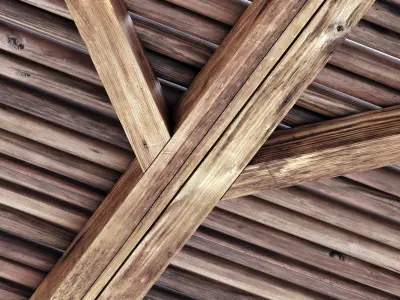 Ceiling diagonal branch straight n1 3D model