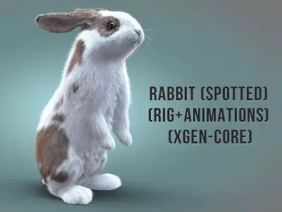Rabbit Spotted ANIMATED XGEN CORE 3D model