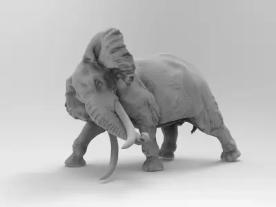 elephant  3D model