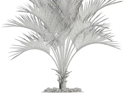 Plants collection 95 3D model