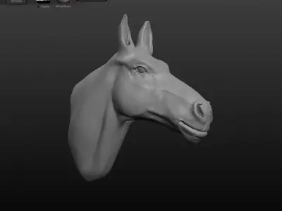 Horse head 3D model
