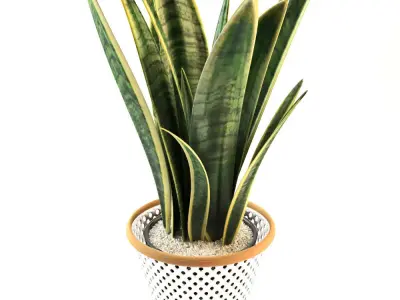 plant collection set 02  3D model