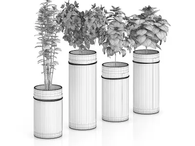 Four Herbs in Glass Pots 3D model
