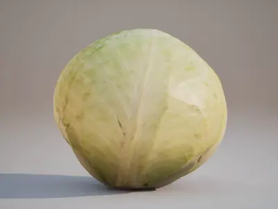 Low Poly 3D Cabbage model Game ready 4K PBR Textures UE Low-poly 3D model