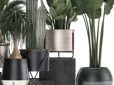 Collection of indoor plants in luxury flower pots 1106 3D model