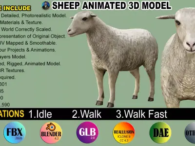 Sheep Animated Low-poly 3D model