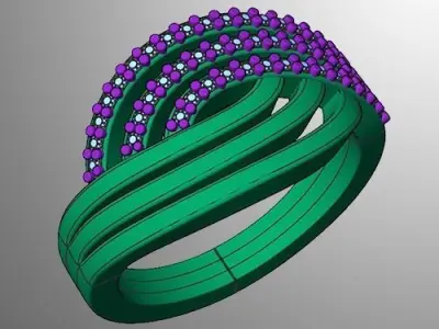 Ring n 13  3D print model