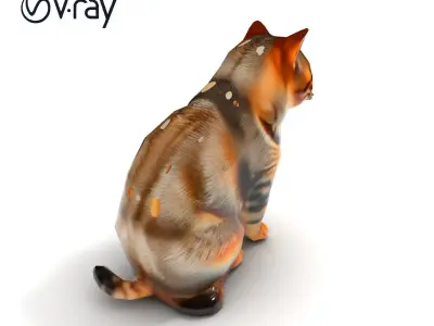 Realistic Domestic Cat D model pack Low-poly 3D model