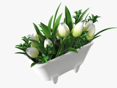 Tulips in bathtub composition 3D model