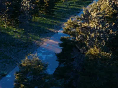 Road in the forest 3D model