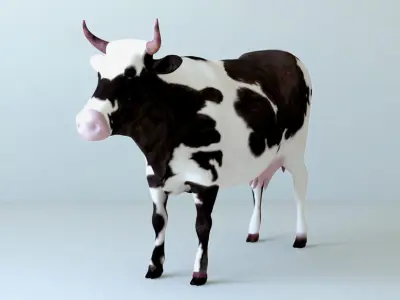 Cows full body Low-poly 3D model