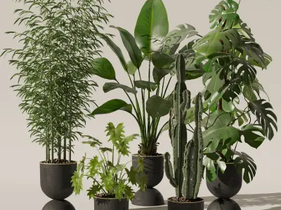 Plants collection 128 3D model