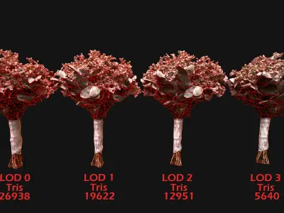 Wedding Bouquet Dried Flowers Bride Low-poly 3D model