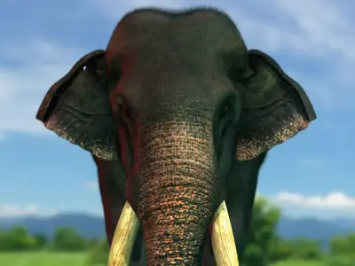 elephant 3d rig model 3D model