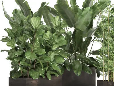 Exotic plants in a rusty flowerpot for the interior 993 3D model