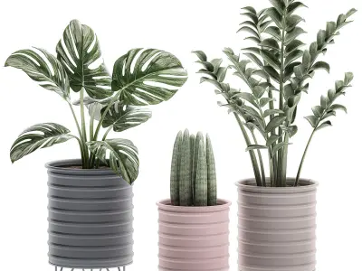  Decorative plants in pots on a stand for the interior 529 3D model