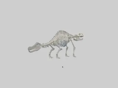Plesiosaur Skeleton model Low-poly 3D model