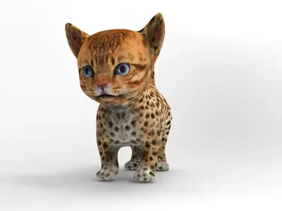 3D Wild Cute cartoon Cat Rigged Low-poly 3D model