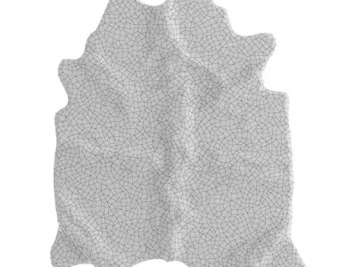 Animal skin rug 05 3D model