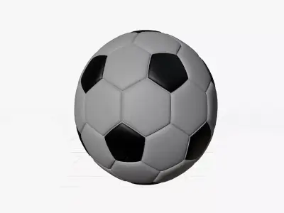 Generic Black and White Soccer Ball Free 3D model