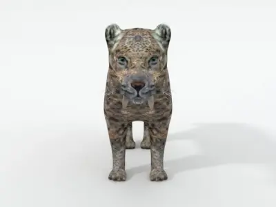 Saber-toothed Tiger Low-poly 3D model