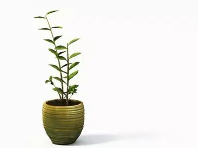 Decorative Plants In A Pot 3D model