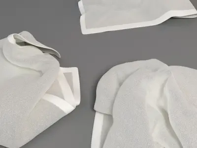 Towel Collection 2 napkin 3D model