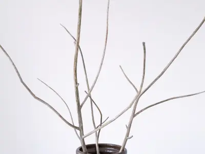 Decor Set Pear Bowl 3D model