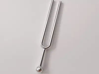 Tuning Fork 3D model