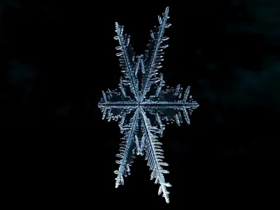 Snowflake 02 growing animation with blender file 3D model