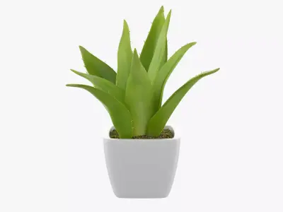 Pot plant 07 3D model