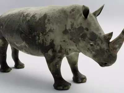 Rhino muddy Low-poly 3D model