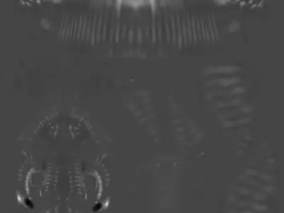 Dragon Skull Low-poly 3D model