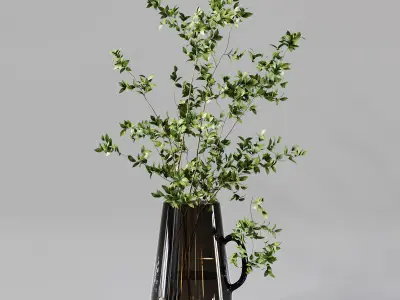 Collection Indoor Plants 01 3D model