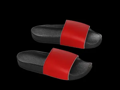 Slipper 3D model