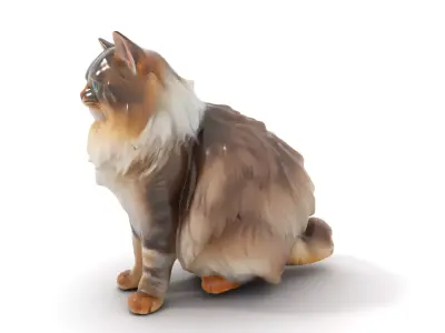 Fluffy Siberian Cat model pack Low-poly 3D model