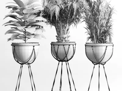collection Indoor plant 41-metal vase Low-poly 3D model