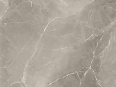 Marble Floor Elegant Greige 120x240 Texture