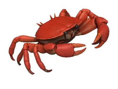 Crab - Crab Low-poly 3D model