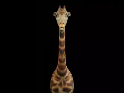 giraffe for game 3D model