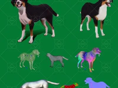 Appenzeller Sennenhund Dog 3D model